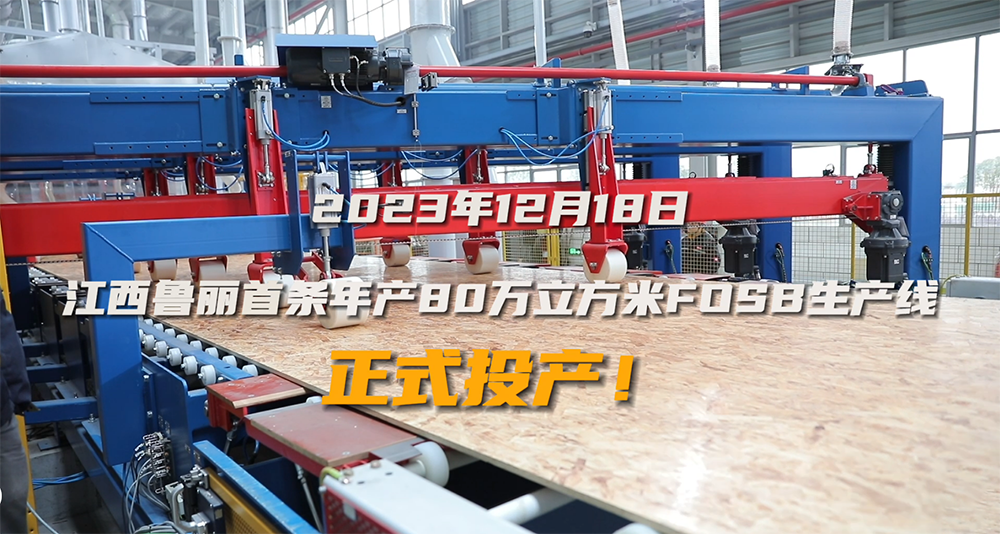 江西鲁丽首条年产80万立方米FOSB生产线正式投产